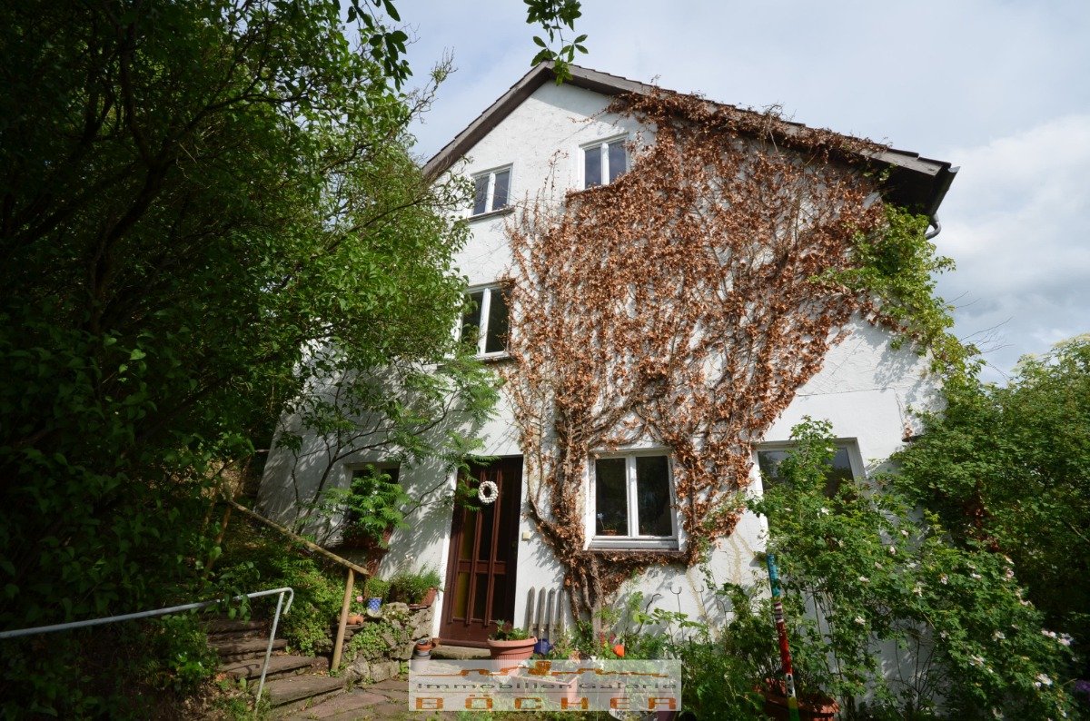 Haus-Giebelansicht Eingang UG